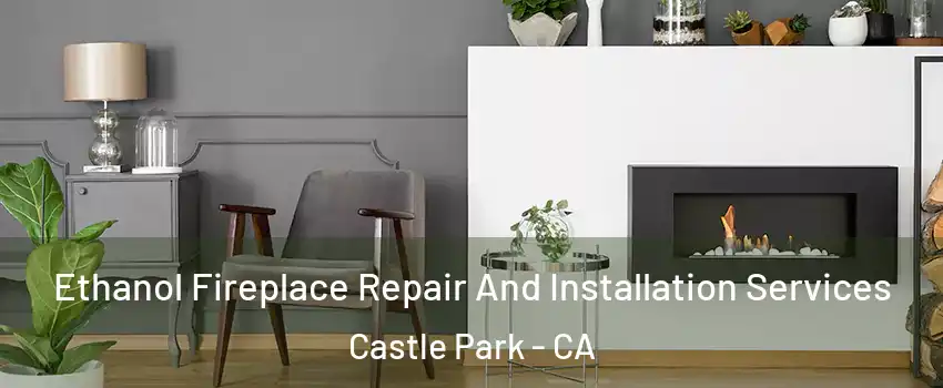 Ethanol Fireplace Repair And Installation Services Castle Park - CA