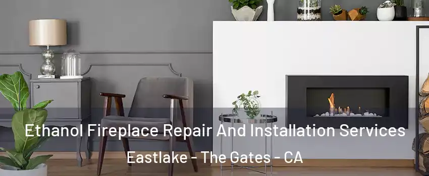 Ethanol Fireplace Repair And Installation Services Eastlake - The Gates - CA