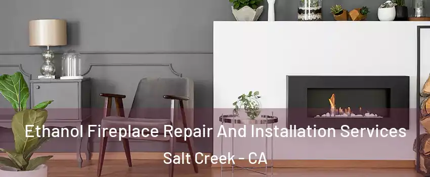 Ethanol Fireplace Repair And Installation Services Salt Creek - CA