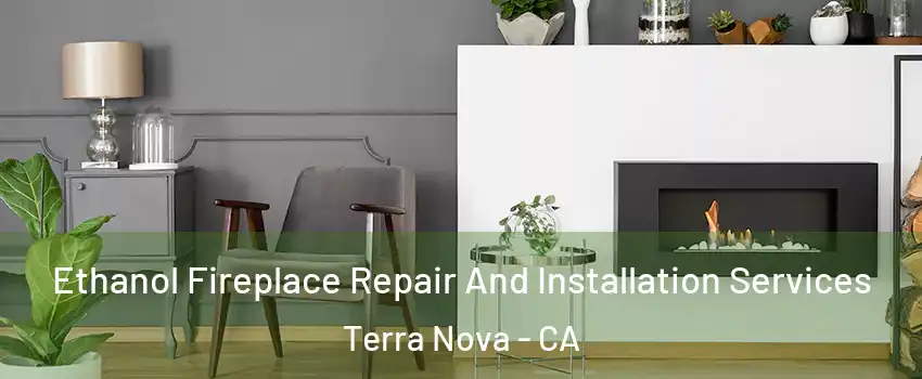 Ethanol Fireplace Repair And Installation Services Terra Nova - CA