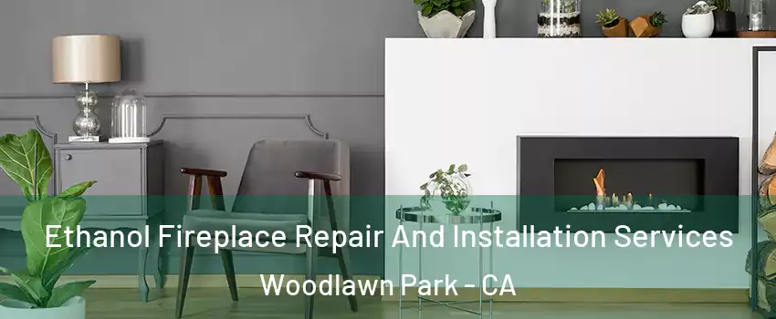 Ethanol Fireplace Repair And Installation Services Woodlawn Park - CA