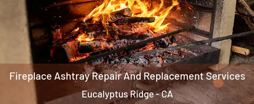Fireplace Ashtray Repair And Replacement Services Eucalyptus Ridge - CA