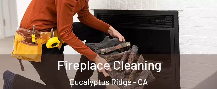 Fireplace Cleaning Eucalyptus Ridge - CA
