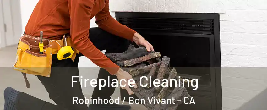 Fireplace Cleaning Robinhood / Bon Vivant - CA