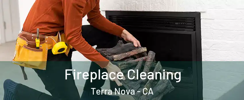 Fireplace Cleaning Terra Nova - CA