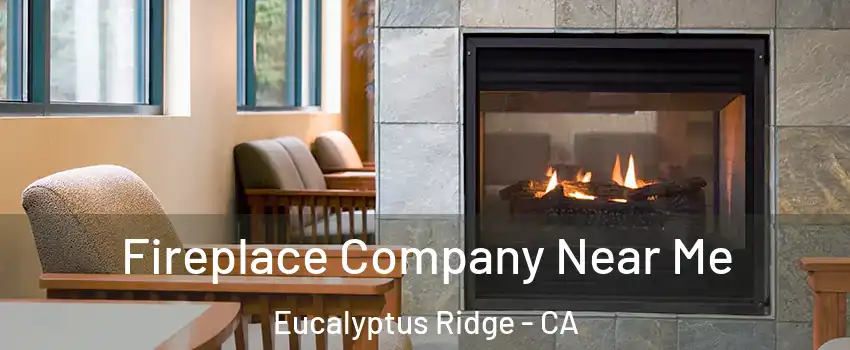 Fireplace Company Near Me Eucalyptus Ridge - CA