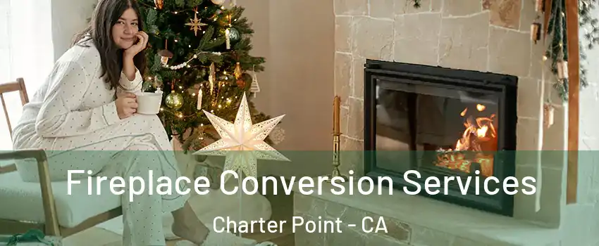 Fireplace Conversion Services Charter Point - CA