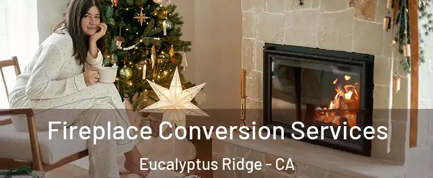 Fireplace Conversion Services Eucalyptus Ridge - CA