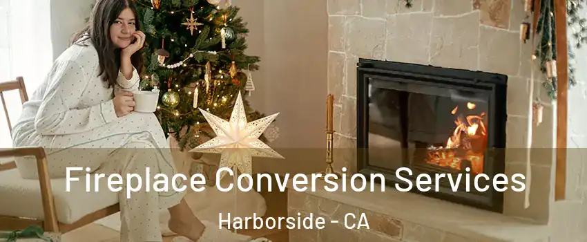 Fireplace Conversion Services Harborside - CA