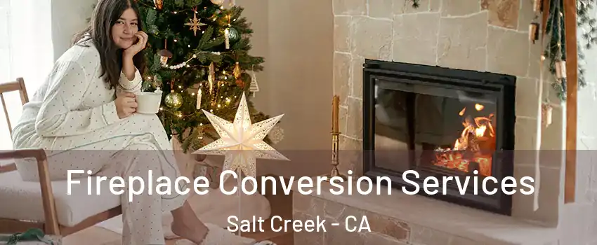 Fireplace Conversion Services Salt Creek - CA