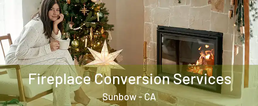 Fireplace Conversion Services Sunbow - CA
