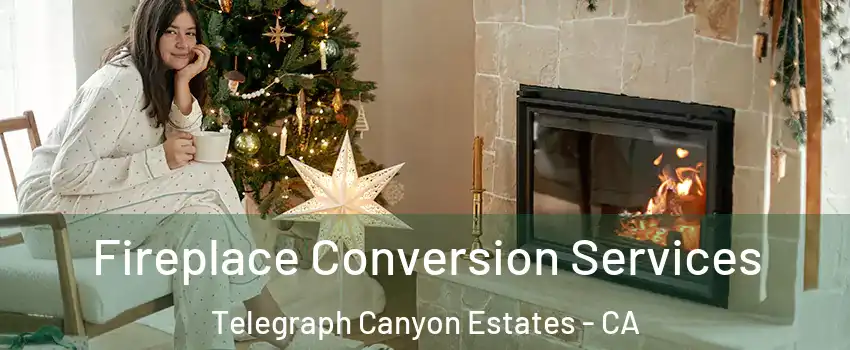 Fireplace Conversion Services Telegraph Canyon Estates - CA