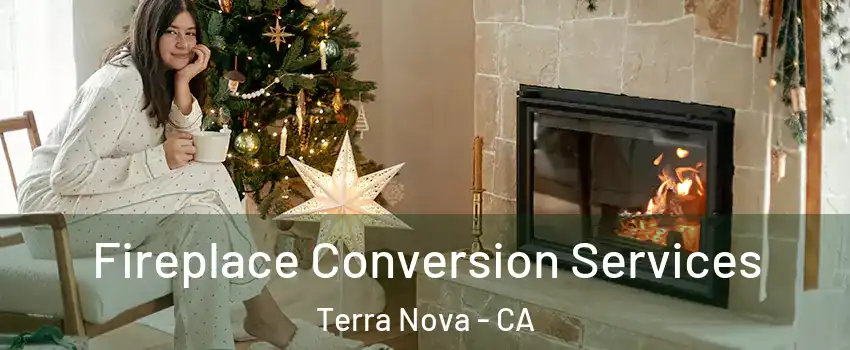 Fireplace Conversion Services Terra Nova - CA