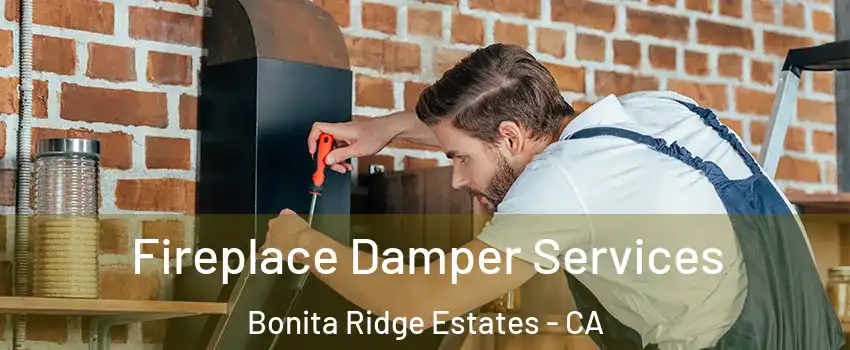 Fireplace Damper Services Bonita Ridge Estates - CA