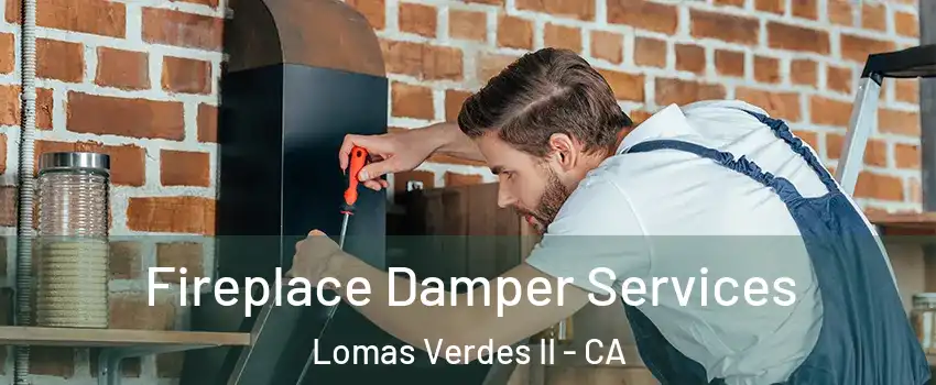 Fireplace Damper Services Lomas Verdes II - CA