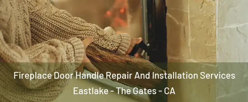 Fireplace Door Handle Repair And Installation Services Eastlake - The Gates - CA