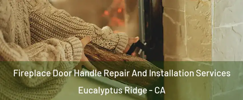 Fireplace Door Handle Repair And Installation Services Eucalyptus Ridge - CA