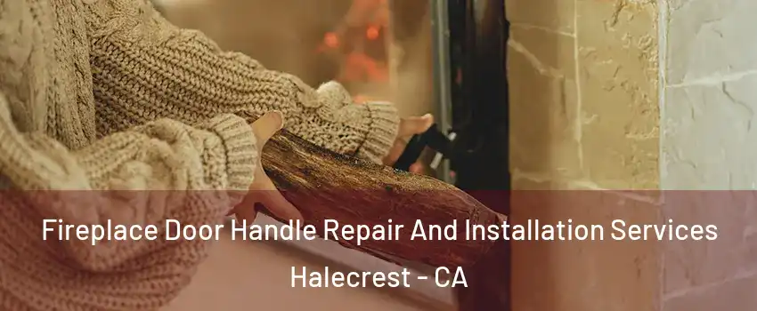 Fireplace Door Handle Repair And Installation Services Halecrest - CA