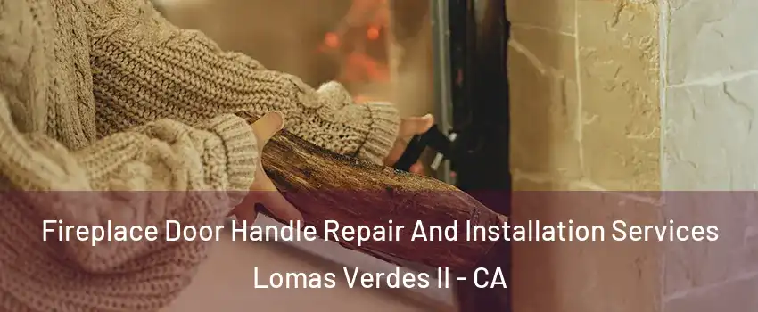 Fireplace Door Handle Repair And Installation Services Lomas Verdes II - CA