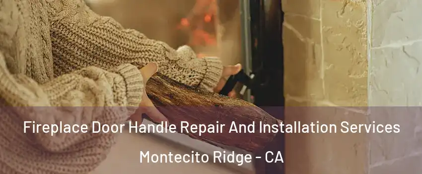 Fireplace Door Handle Repair And Installation Services Montecito Ridge - CA