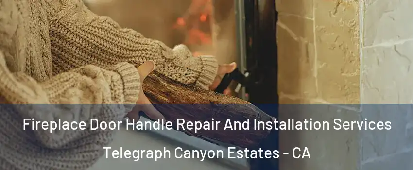 Fireplace Door Handle Repair And Installation Services Telegraph Canyon Estates - CA