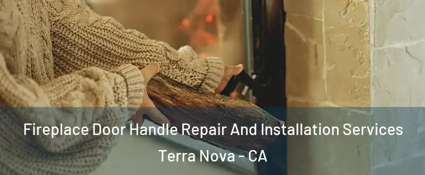 Fireplace Door Handle Repair And Installation Services Terra Nova - CA