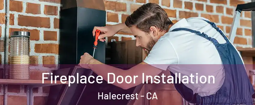 Fireplace Door Installation Halecrest - CA