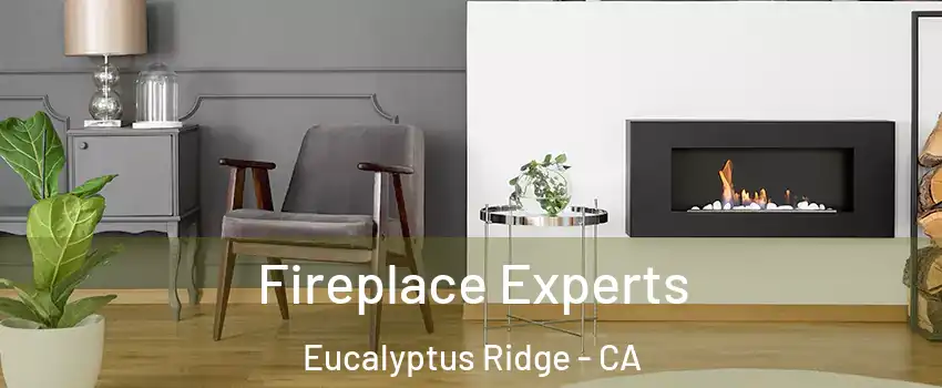 Fireplace Experts Eucalyptus Ridge - CA