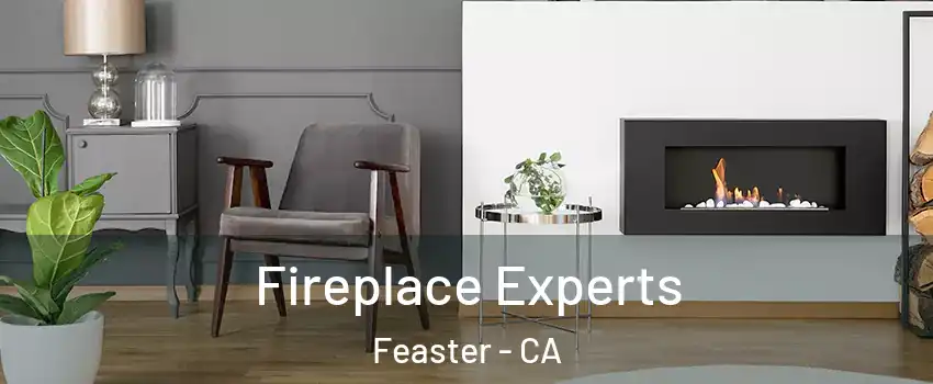 Fireplace Experts Feaster - CA