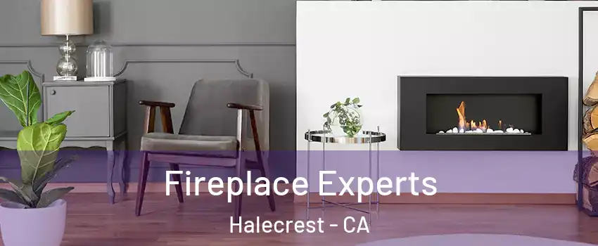 Fireplace Experts Halecrest - CA