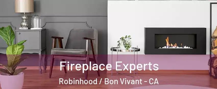 Fireplace Experts Robinhood / Bon Vivant - CA