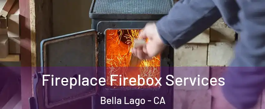 Fireplace Firebox Services Bella Lago - CA