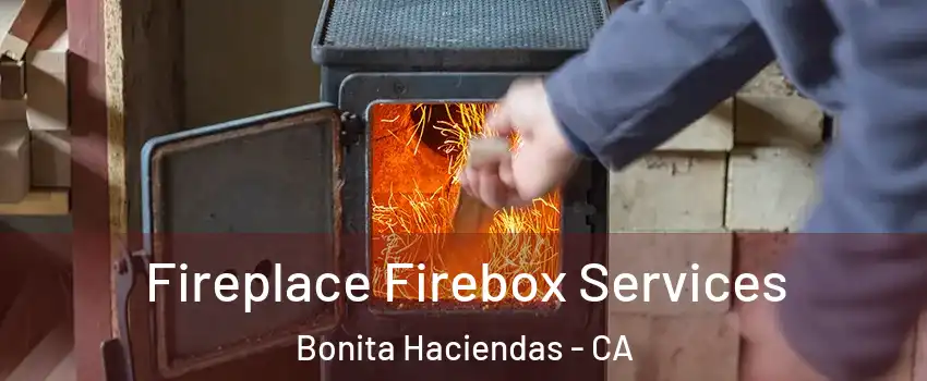 Fireplace Firebox Services Bonita Haciendas - CA