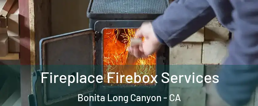 Fireplace Firebox Services Bonita Long Canyon - CA