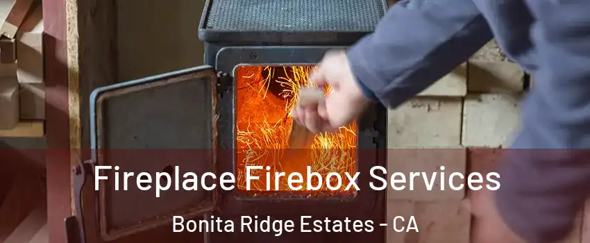 Fireplace Firebox Services Bonita Ridge Estates - CA