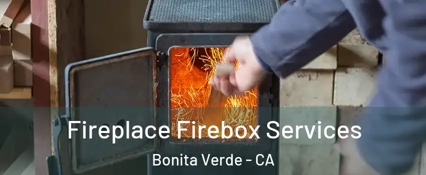 Fireplace Firebox Services Bonita Verde - CA