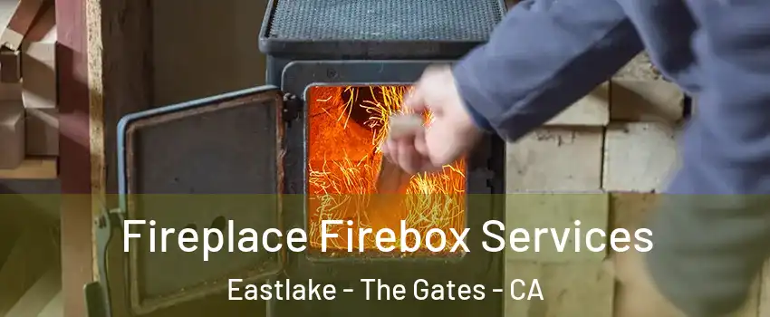 Fireplace Firebox Services Eastlake - The Gates - CA