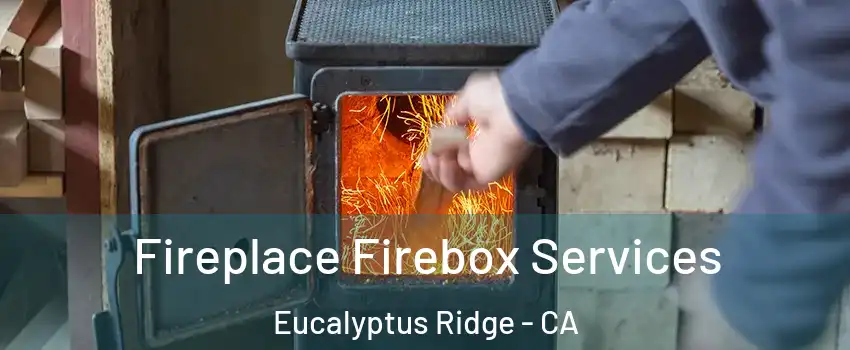 Fireplace Firebox Services Eucalyptus Ridge - CA