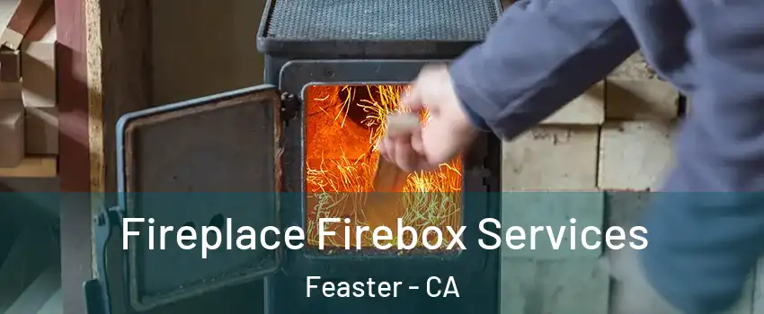 Fireplace Firebox Services Feaster - CA