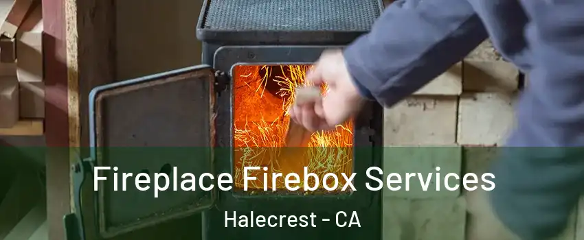 Fireplace Firebox Services Halecrest - CA