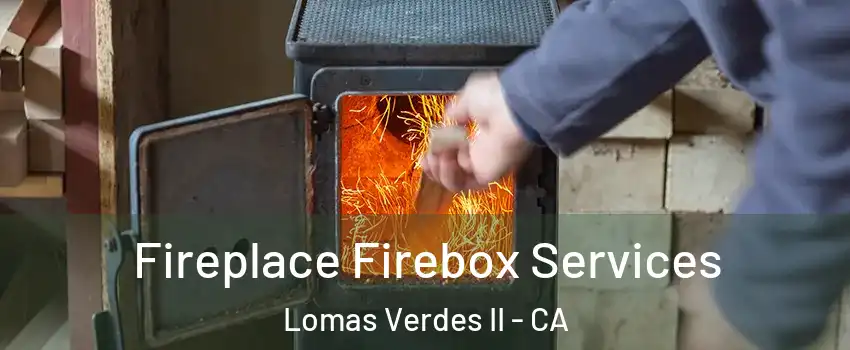 Fireplace Firebox Services Lomas Verdes II - CA