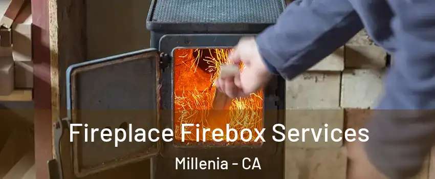 Fireplace Firebox Services Millenia - CA