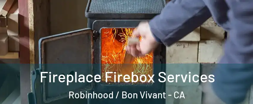 Fireplace Firebox Services Robinhood / Bon Vivant - CA