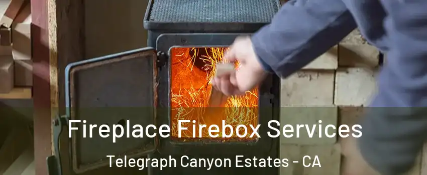 Fireplace Firebox Services Telegraph Canyon Estates - CA