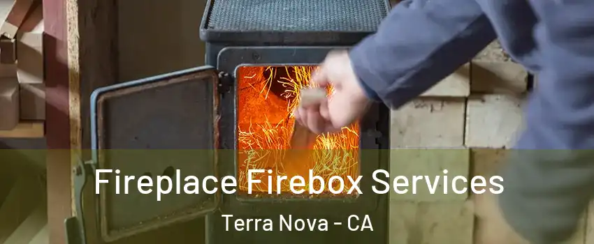 Fireplace Firebox Services Terra Nova - CA