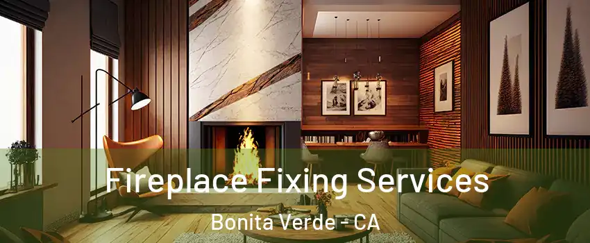 Fireplace Fixing Services Bonita Verde - CA