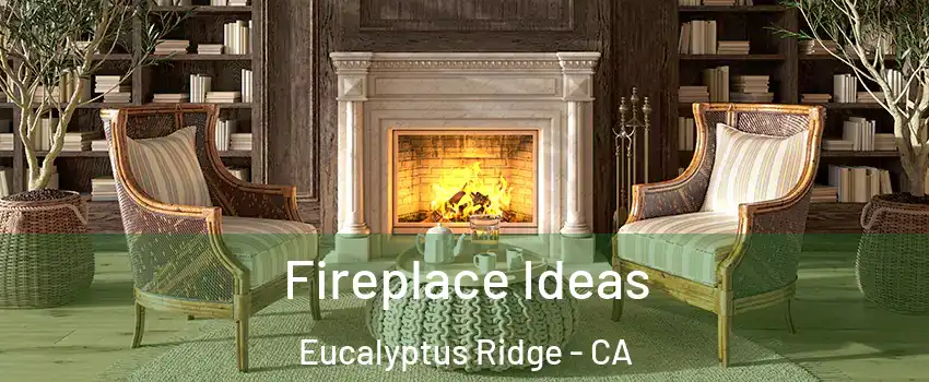 Fireplace Ideas Eucalyptus Ridge - CA