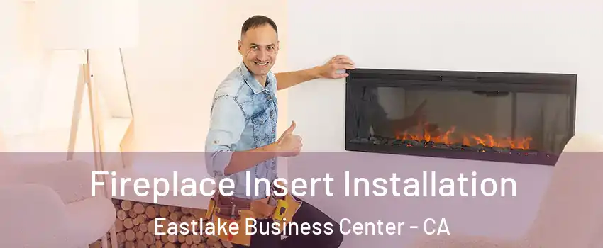 Fireplace Insert Installation Eastlake Business Center - CA