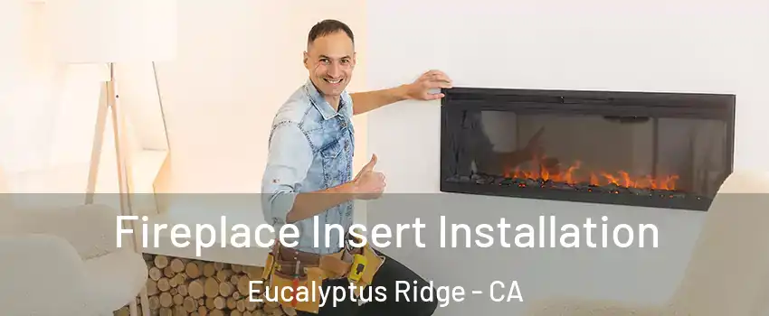 Fireplace Insert Installation Eucalyptus Ridge - CA
