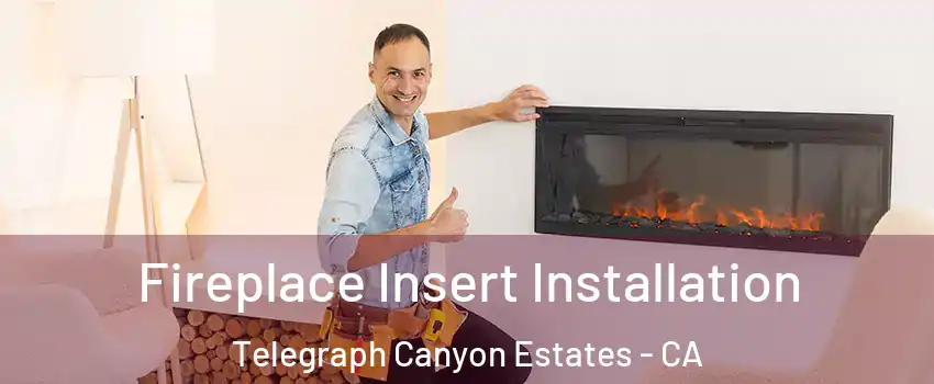 Fireplace Insert Installation Telegraph Canyon Estates - CA